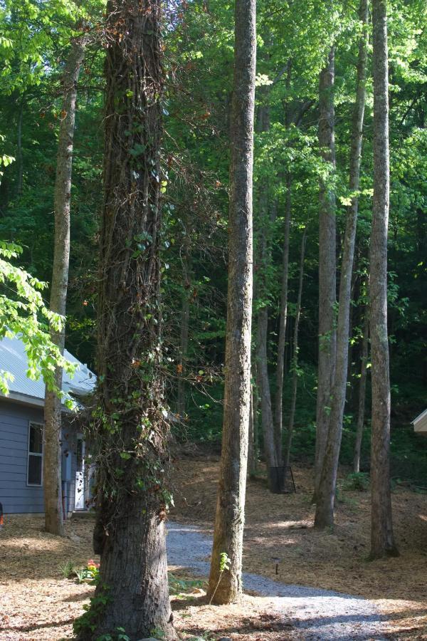 Villas At Gingershack Farms Ellijay Kültér fotó
