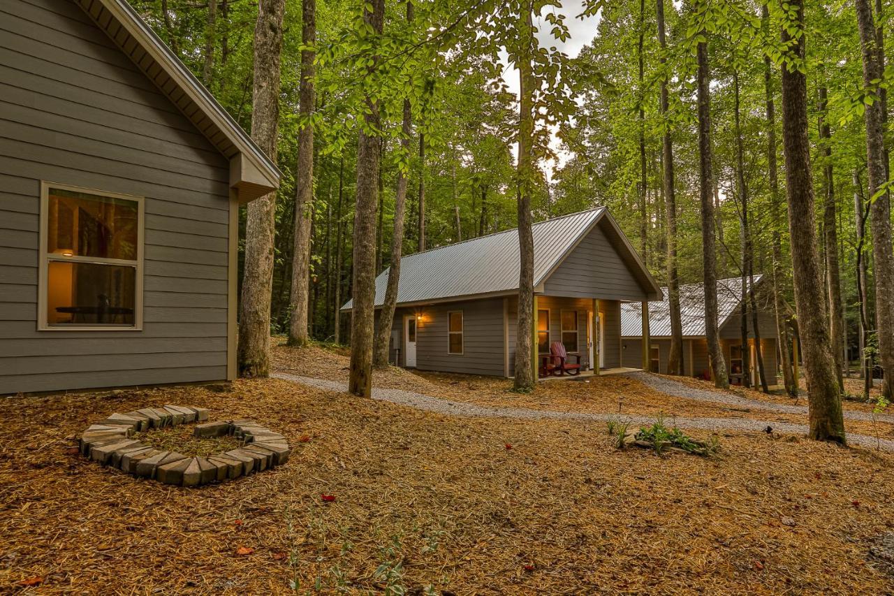 Villas At Gingershack Farms Ellijay Kültér fotó